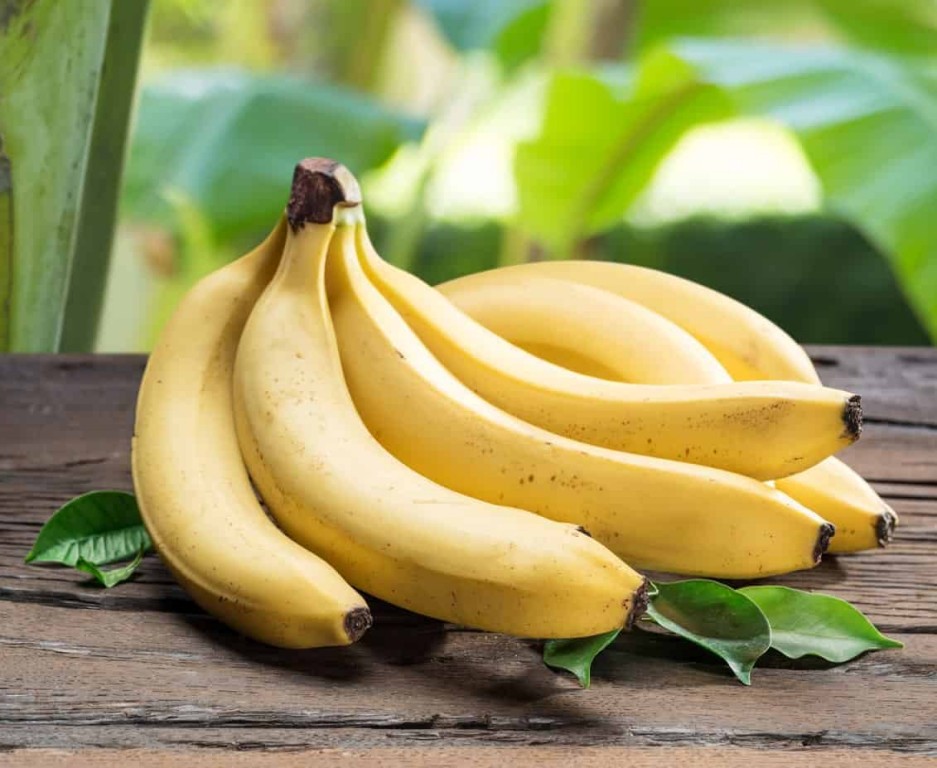 banana cavendish