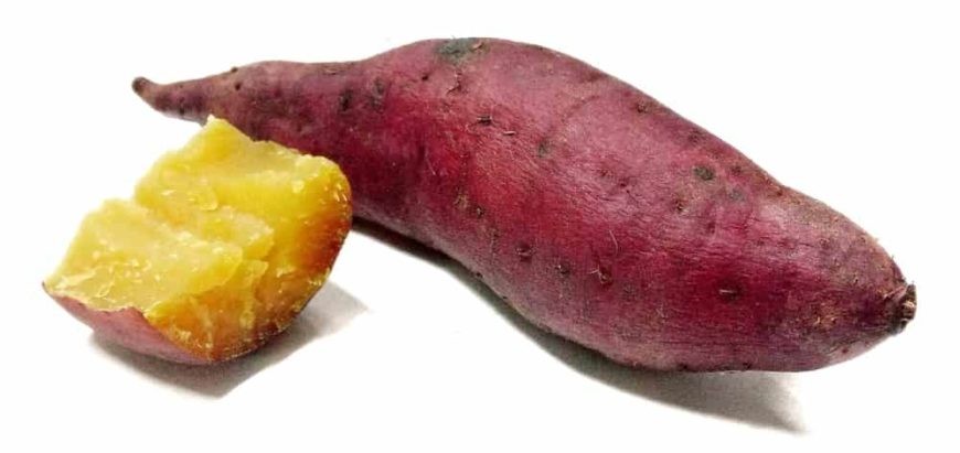 batata doce satsuma