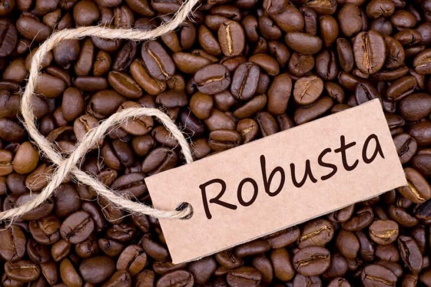 cafe robusta