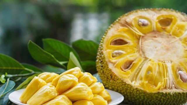  jaca como diferenciar do durian