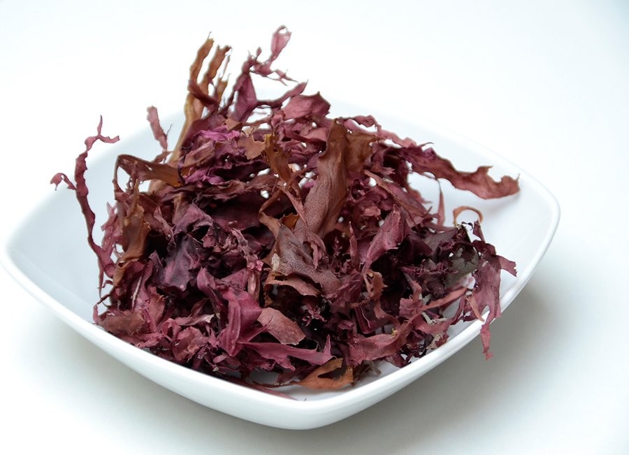 dulse