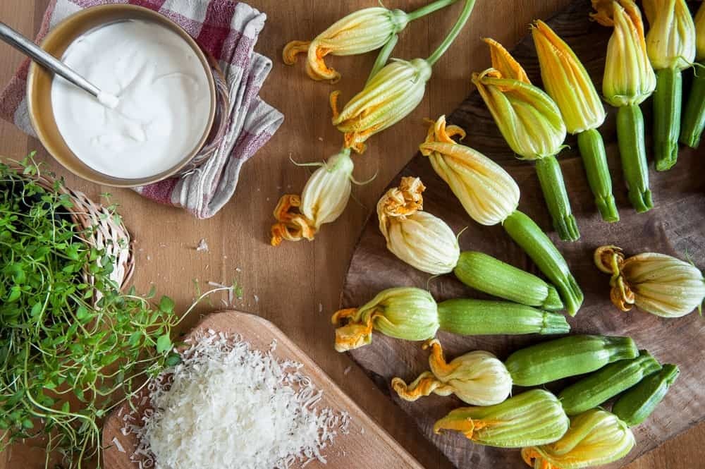 flores de abobrinha