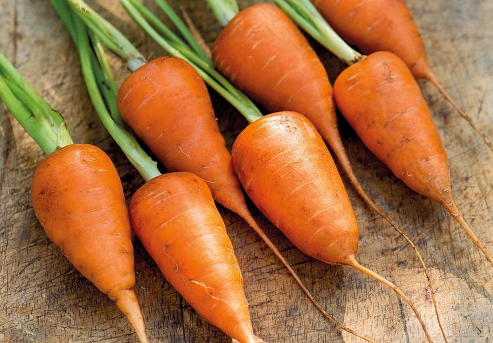 mini cenoura