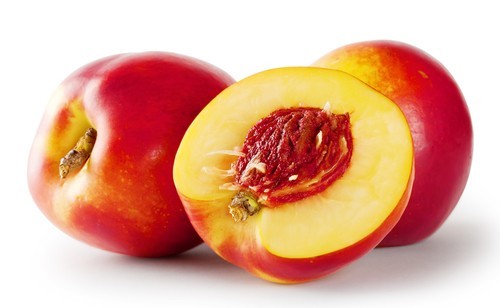 nectarina necta 5