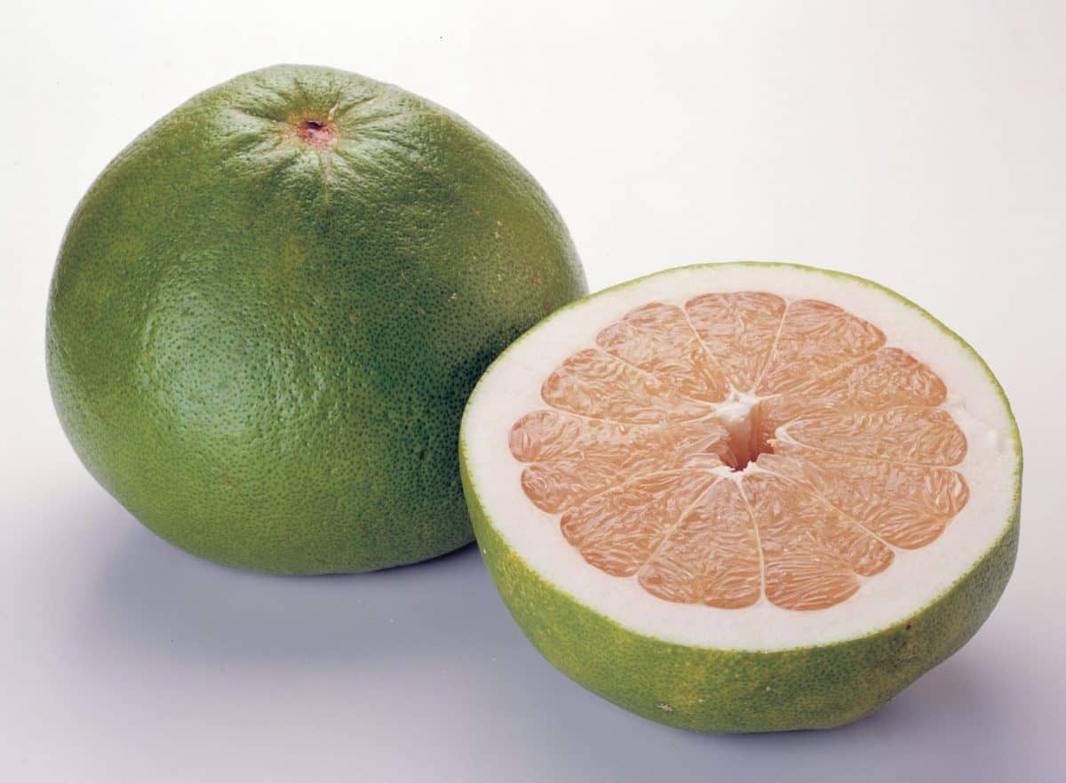 O que é pomelo?