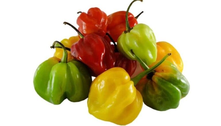 29 tipos de pimenta: características, usos, informações e muito mais ...