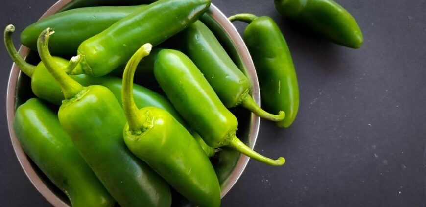 pimenta jalapeno