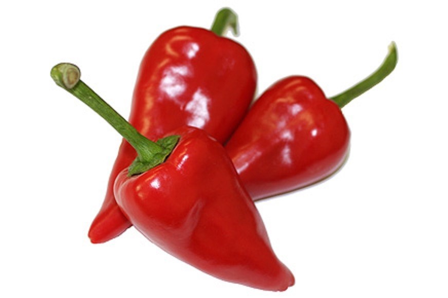 pimenta piquillo