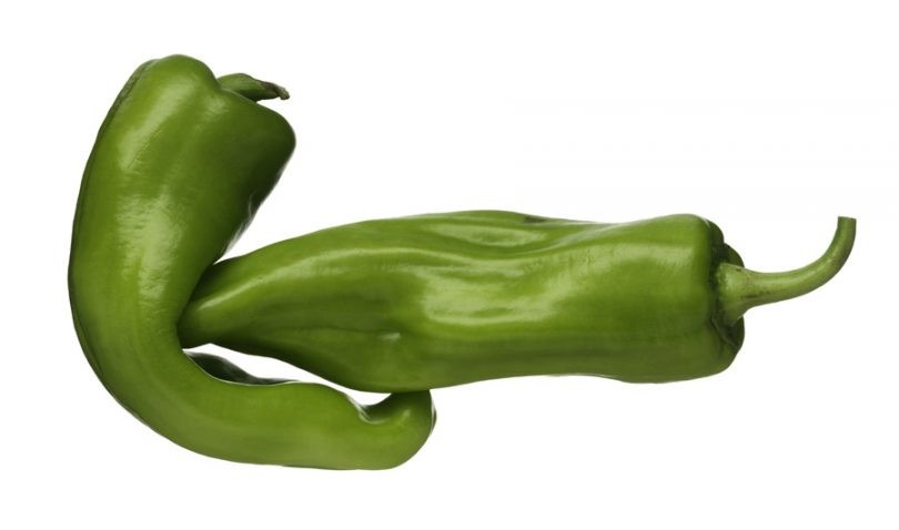 pimenta poblano