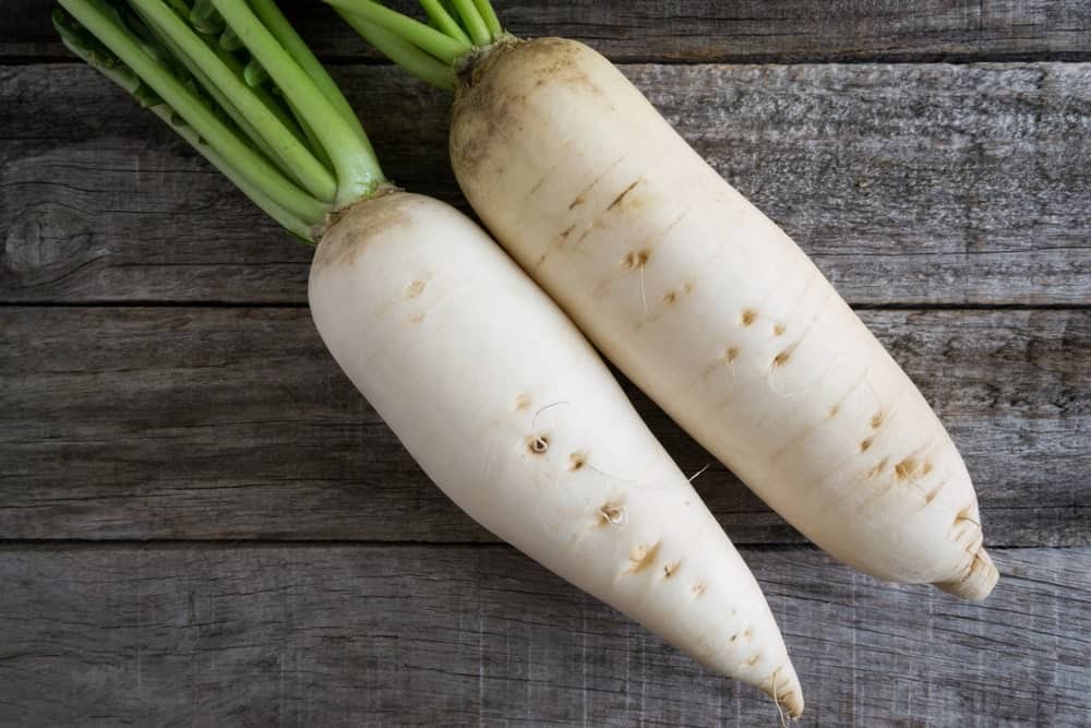 rabanete branco daikon