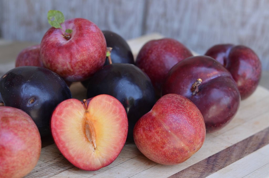 Benefícios do suco de ameixa para saúde