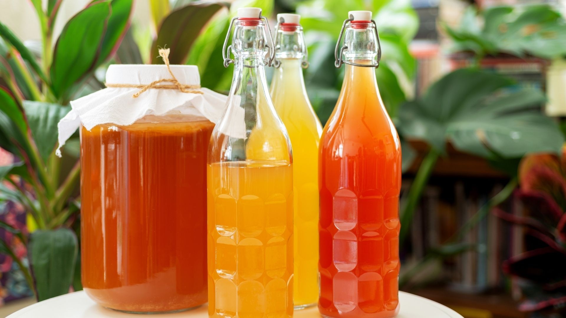 tipos de kombucha