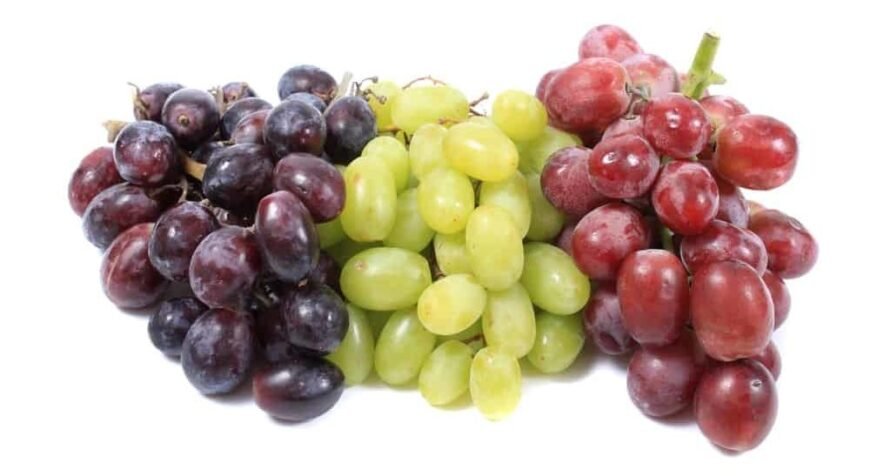 tipos de uva