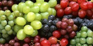tipos diferentes de uvas.