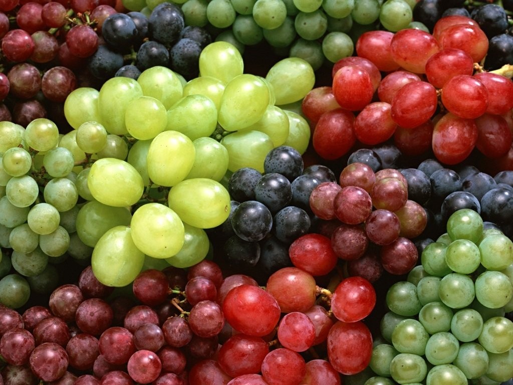 tipos de uva