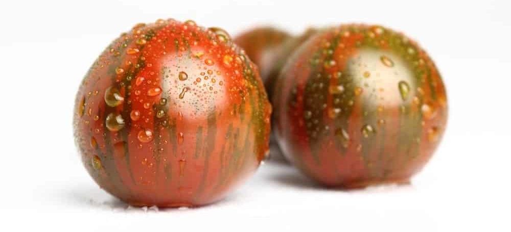 tomate zebra negro