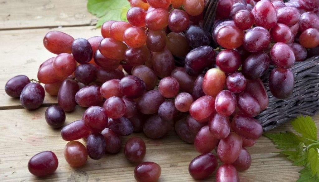 valor nutricional da uva