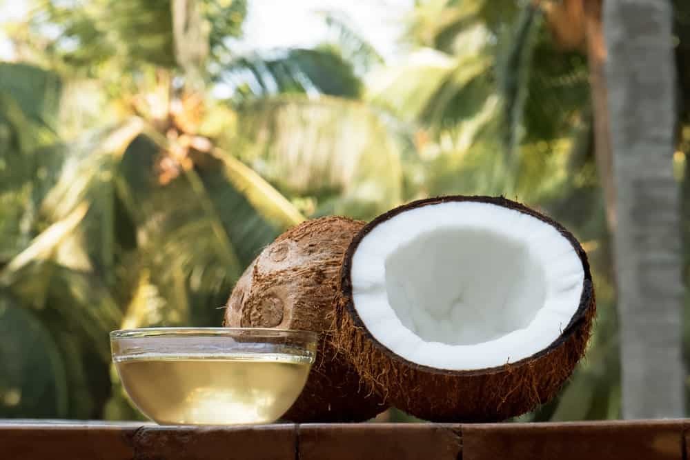 valor nutricional do coco