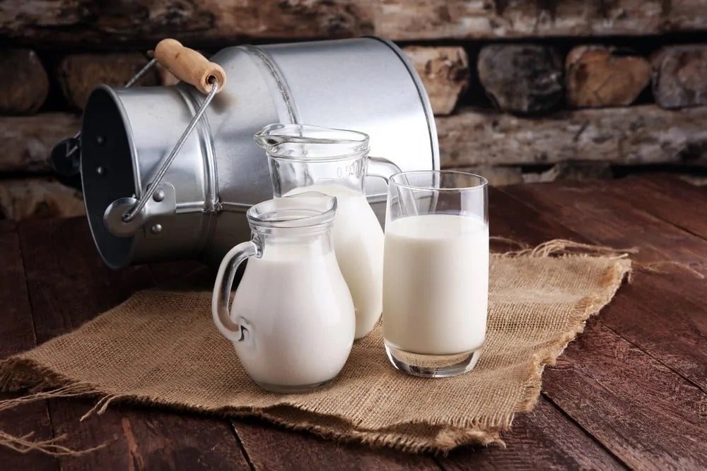 valor nutricional do leite