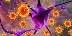 como prevenir a virus da gripe h3n2