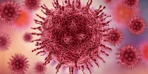 como prevenir do virus h5n1