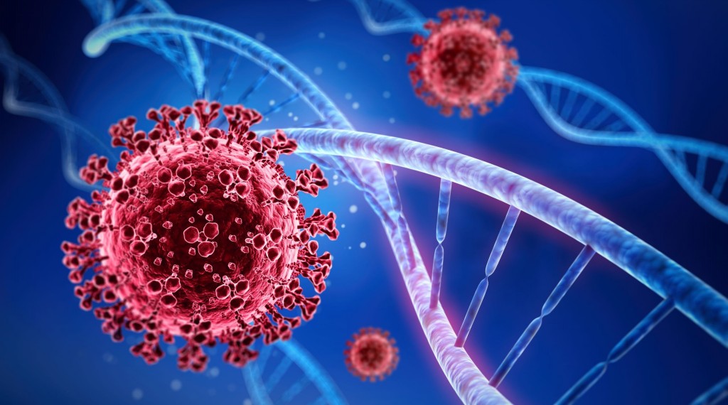 como se proteger e evitar a propagacao da variante omicron