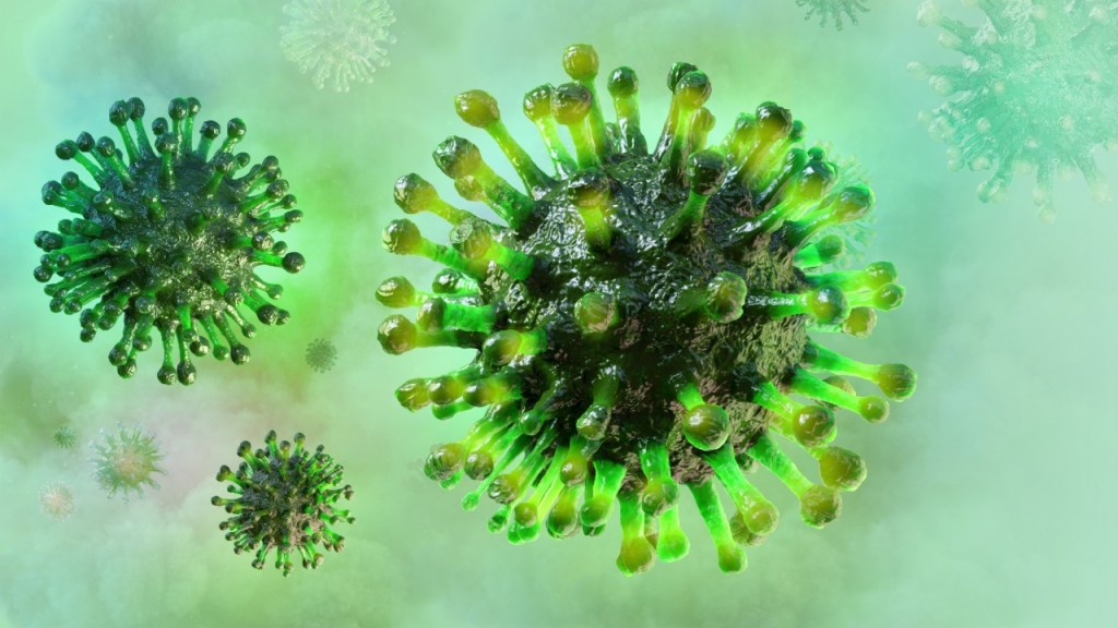 gripe h5n1 pode infectar humanos