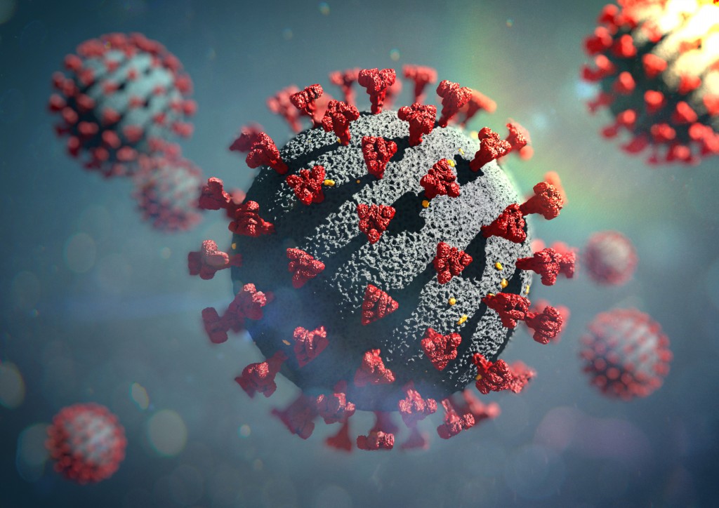 periodo de transmissibilidade da variante omicron