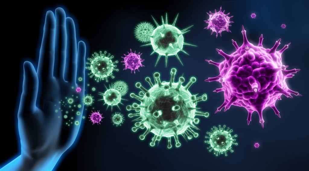 tipos de virus da gripe h3n2