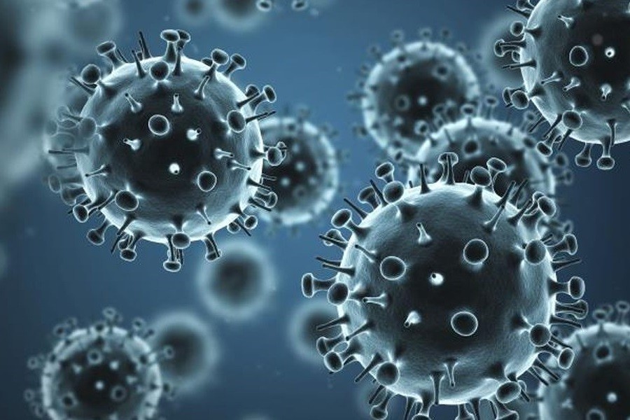 vacina da influenza h3n2 tem protecao cruzada contra a Darwin
