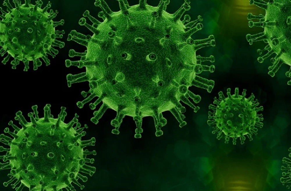 virus h3n2