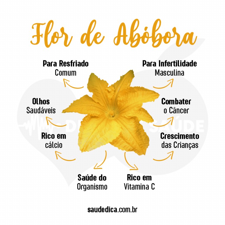 Benefícios da Flor de Abóbora par saúde