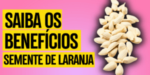 Semente de laranja