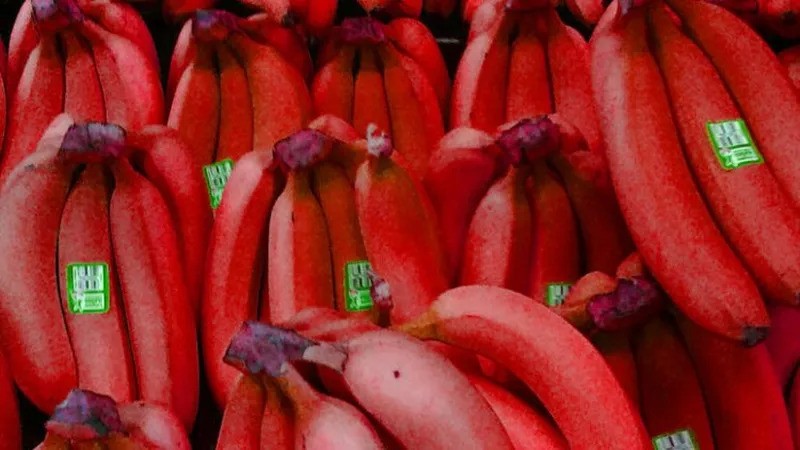Benefícios da banana vermelha
