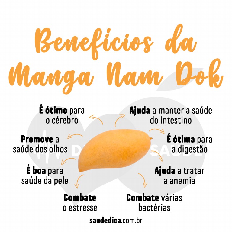 Os 10 Benefícios da Manga Nam Dok Mai para saúde