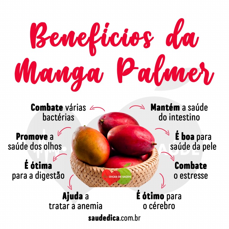 Benefícios da Manga Palmer para saúde