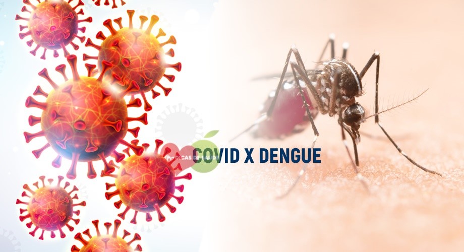 como ocorre a transmissao da dengue e covid-19