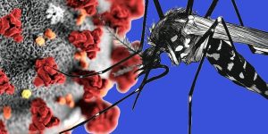 dengue e covid-19 como diferenciar