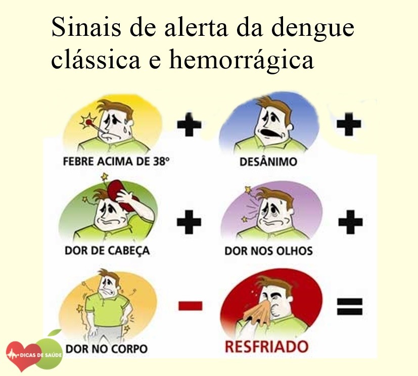 sinais de alerta da dengue classica e hemorragica