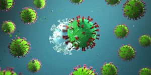 virus langya