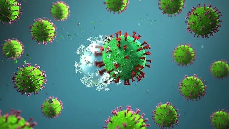 virus langya