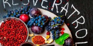 Alimentos ricos em resveratrol