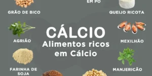 alimentos ricos em calcio