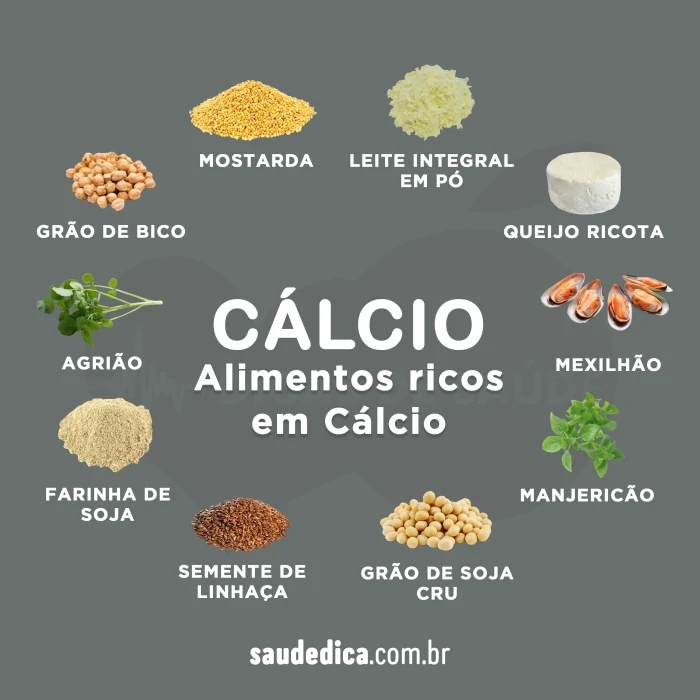 alimentos ricos em calcio