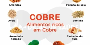 alimentos ricos em cobre