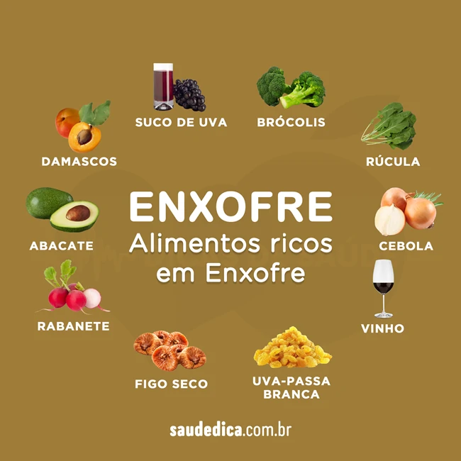 alimentos ricos em enxofre