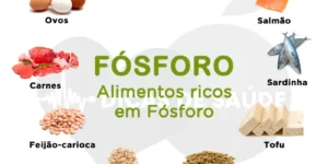 alimentos ricos em fósforo