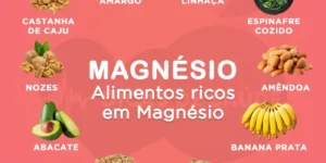 alimentos ricos em magnesio