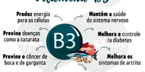 beneficios da vitamina B3