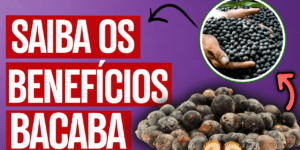 Bacaba fruta
